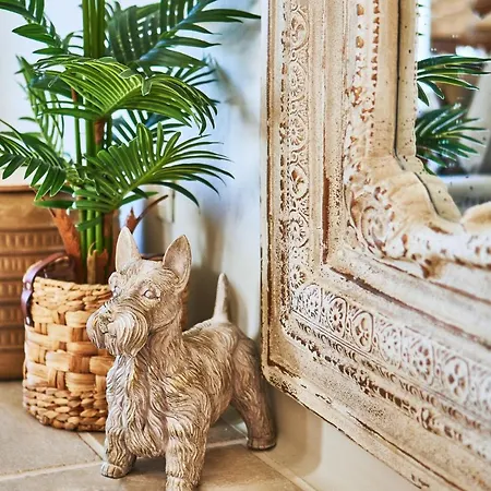 Aqua Mykonos - Adults Only Apartamento Tourlos